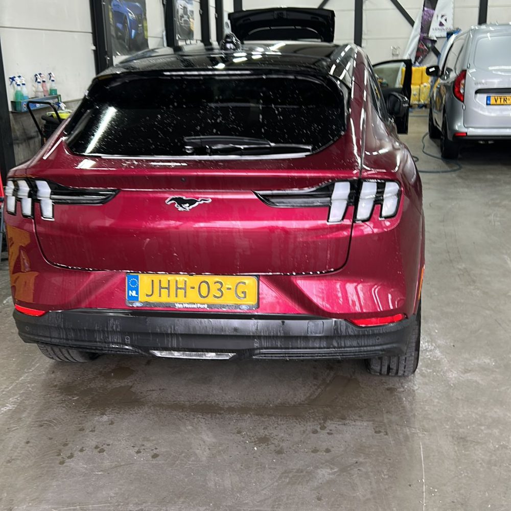 WhatsApp Image 2025-11-19 at 10.08.35